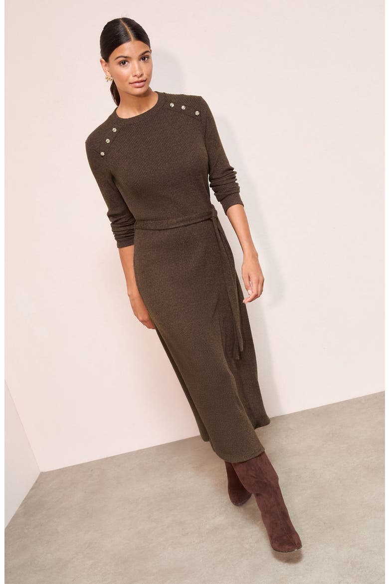 Long Sleeve Sweater Dress, Alternate, color, BROWN