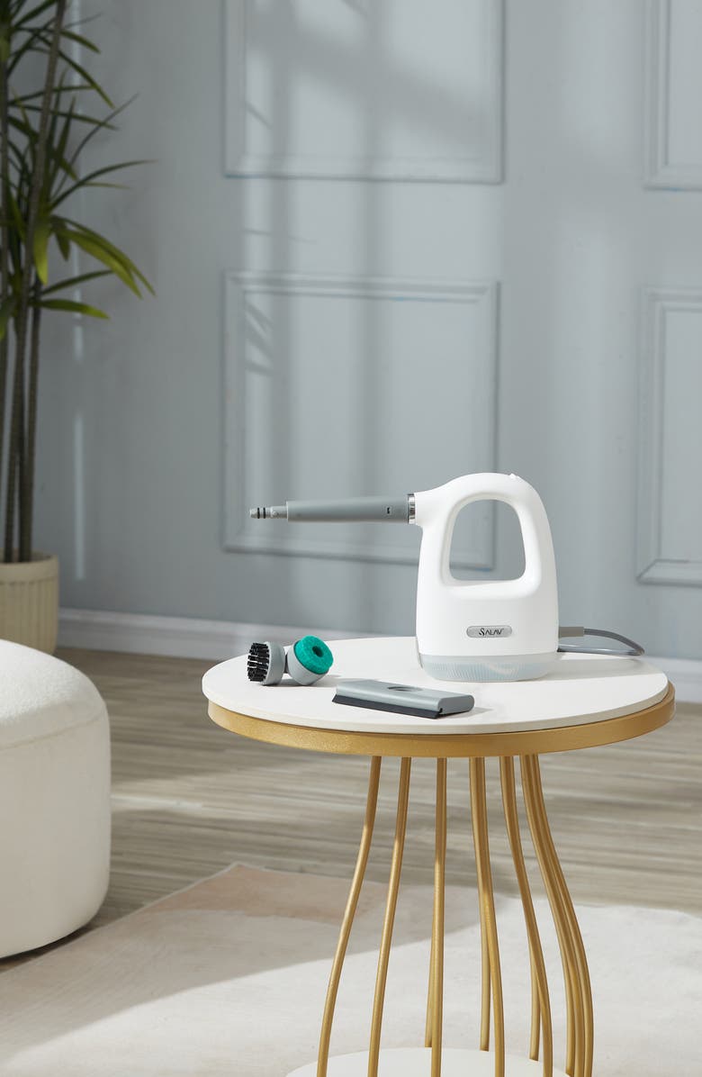 SALAV CS-100 Compact Steam Cleaner, Alternate, color, White