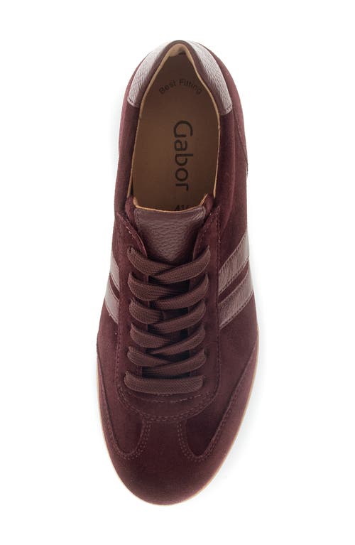 Gabor Stripe Low Top Sneaker In Animal Print