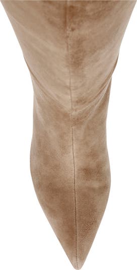 Lavan Pointed Toe Knee High Boot