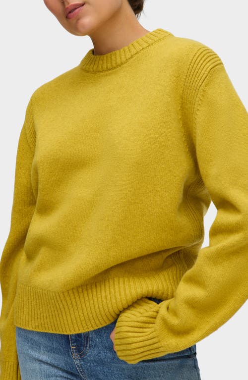 Aligne Dion Knitted Sweater Hot Mustard In Green