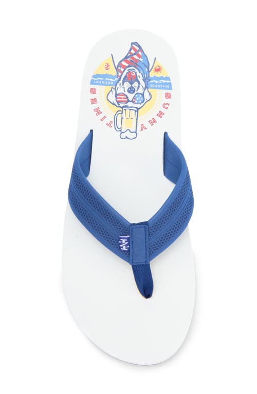 Izod Dog Americana Flip Flop In White Navy
