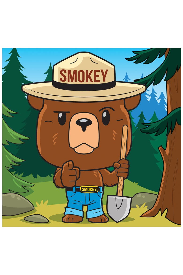 Smokey Bear 100 Piece Jigsaw Puzzle, Alternate, color, Multicolor