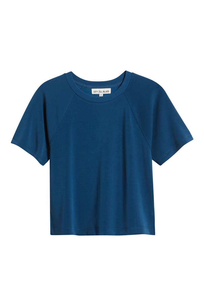 Raglan Sleeve T-Shirt, Alternate, color, BLUE OPAL