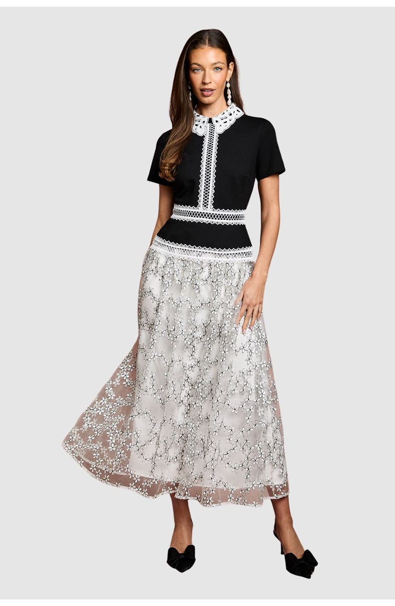 Coast Embroidered Mesh Skirt Midaxi Dress, Main, color, Mono