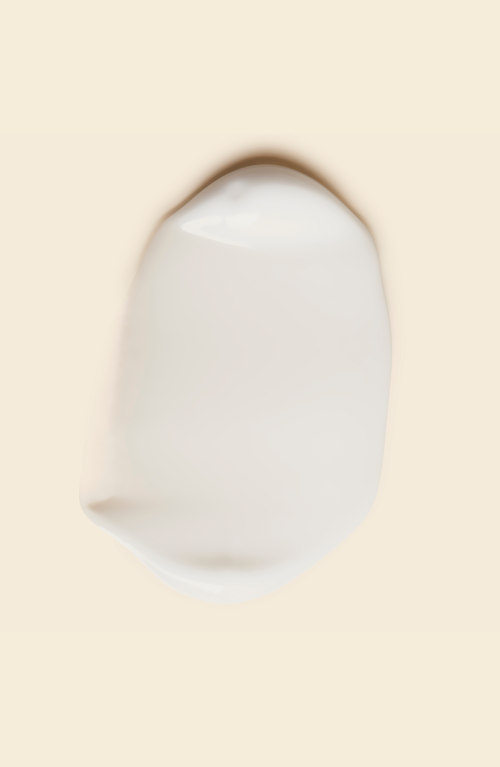 Fig.1 Beauty Gentle Cream Cleanser In Starter Kit