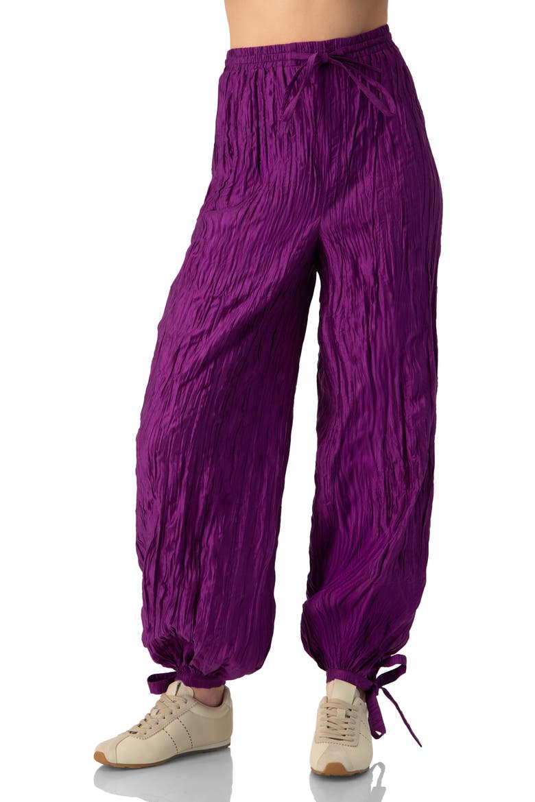 Pleated Pants with Ankle Ties, Main, color, Purple
