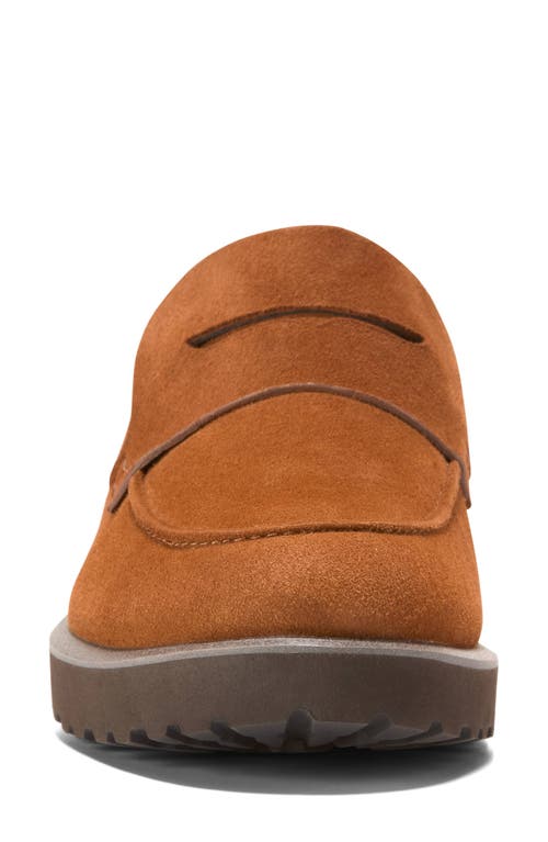Cole Haan Gwendolyn Penny Loafer In Brown