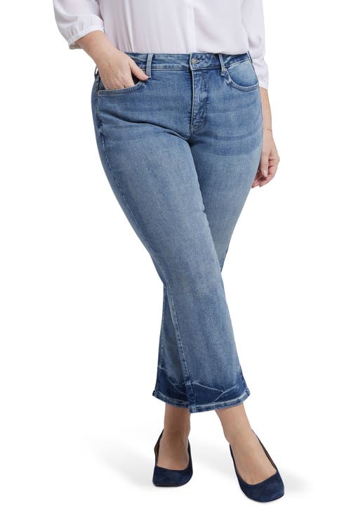 Marilyn Ankle Jeans (Marian Annabella Print) (Plus)