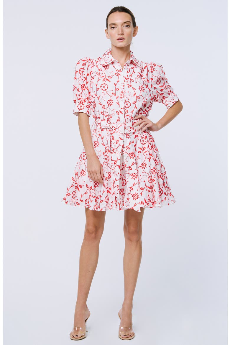 Emilie Embroidered Belted Mini Shirtdress, Alternate, color, WHITE/ RED
