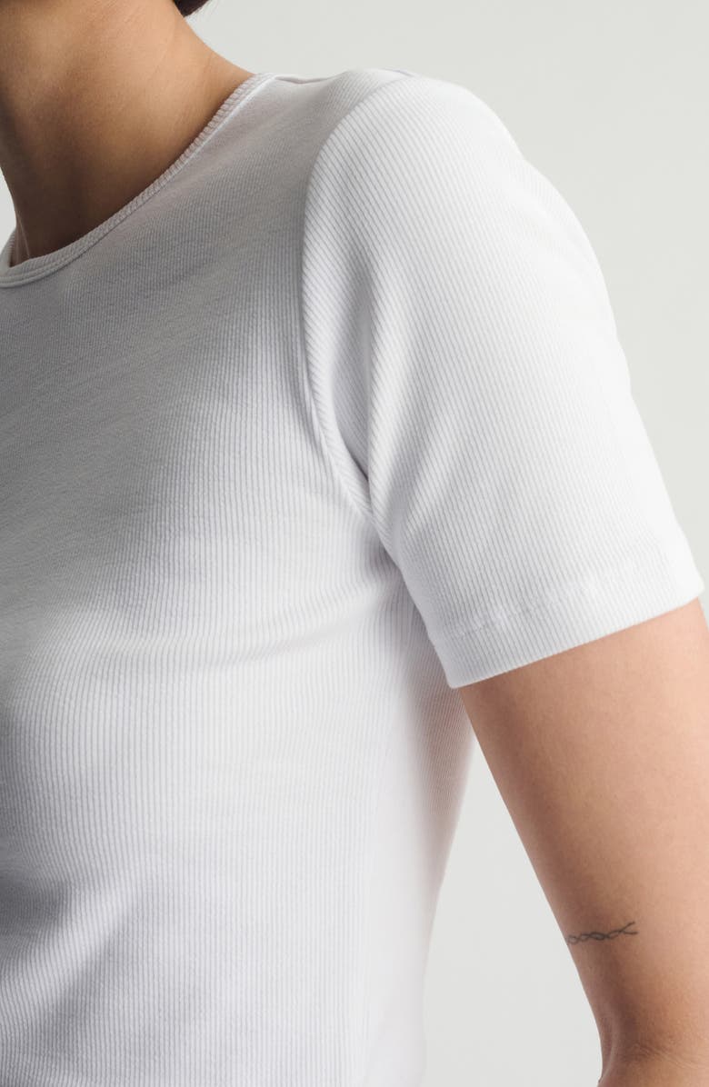 Brooklyn Industries Rib Stretch Cotton T-Shirt, Alternate, color, White