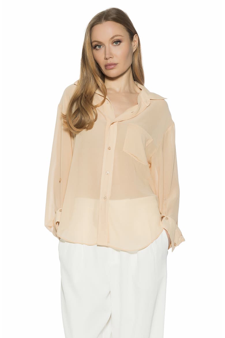 Atticus Sheer Button Up Shirt, Alternate, color, BEIGE