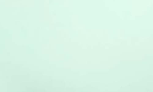 Montelle Intimates Wireless Convertible T-shirt Bra In Seafoam