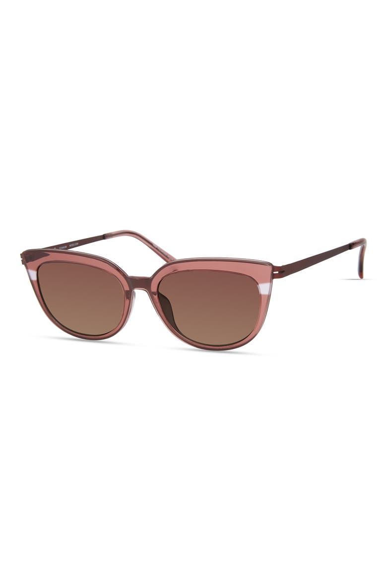 469 Sunglasses, Alternate, color, Dark Rose