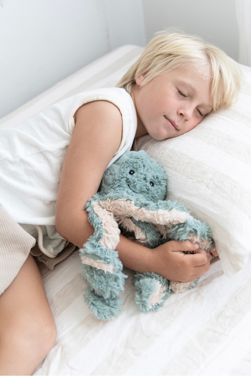 Mindful & Co Mindful And Co Kids Microwable And Weighted Plush Buddies In Burgundy