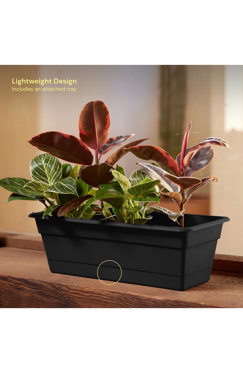 Bloem 18 Inch Dura Cotta Window Box Planter, Black, Alternate, color, Black