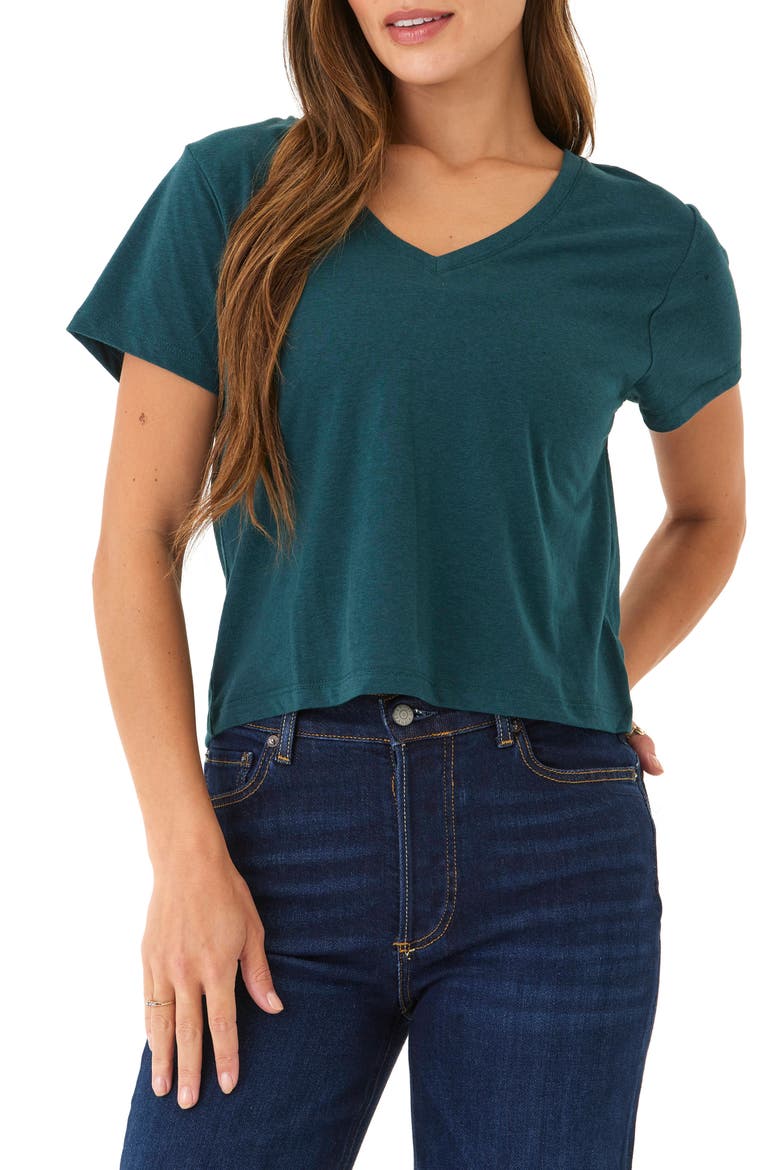 Ada V-Neck T-Shirt, Main, color, SERRANO