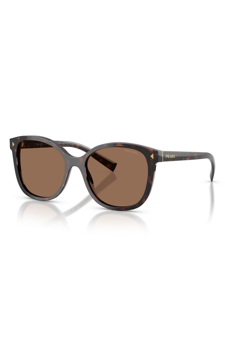 Prada 53mm Gradient Square Sunglasses, Alternate, color, Root Tortoise / Dark Brown
