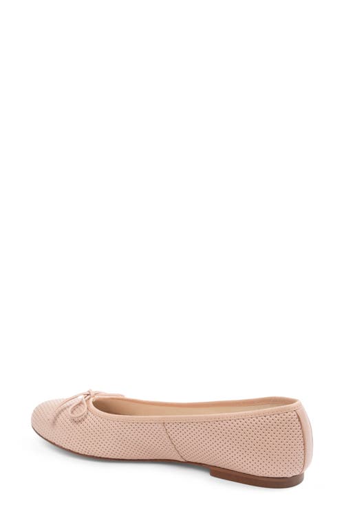 Patricia Green Skim Ballerina Flat In Blush Perforated