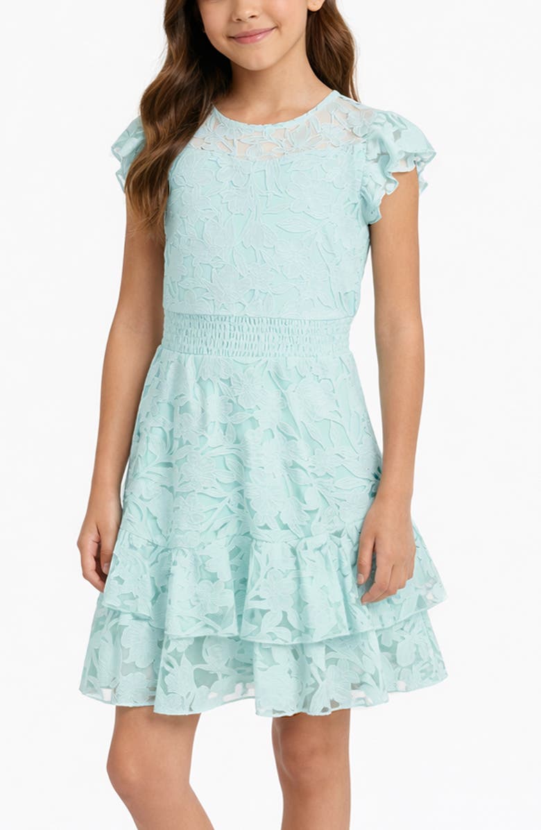 Zunie Kids' Burnout Lace Overlay Party Dress, Alternate, color, Mint