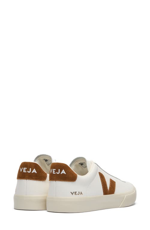 Veja Low-top Lace-up Sneakers Urca Cwl In Multi