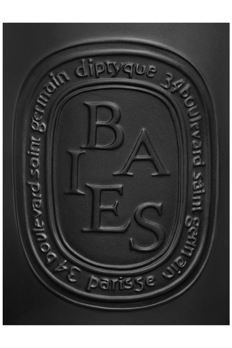 Baies (Berries) Large Scented Candle, Alternate, color, BLACK VESSEL