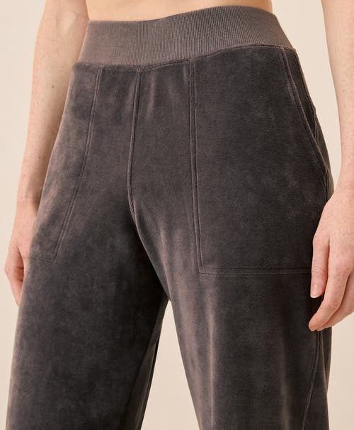 Pact Organic Cotton Pure Velour Wide Leg Pant In Gray