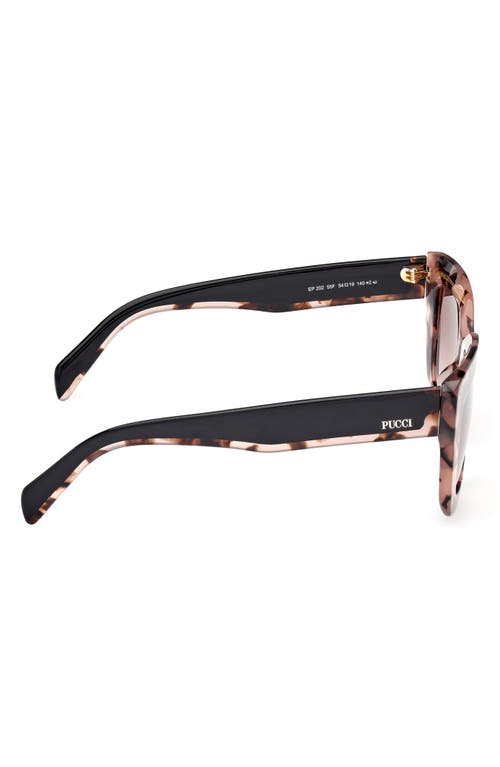 Pucci Women's Pink Havana & Brown Gradient Squared Cat-eye Sunglasses In Brown