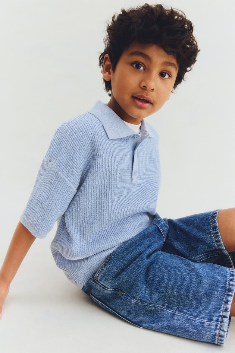 Rib-knit Polo Shirt, Alternate, color, Light dusty blue