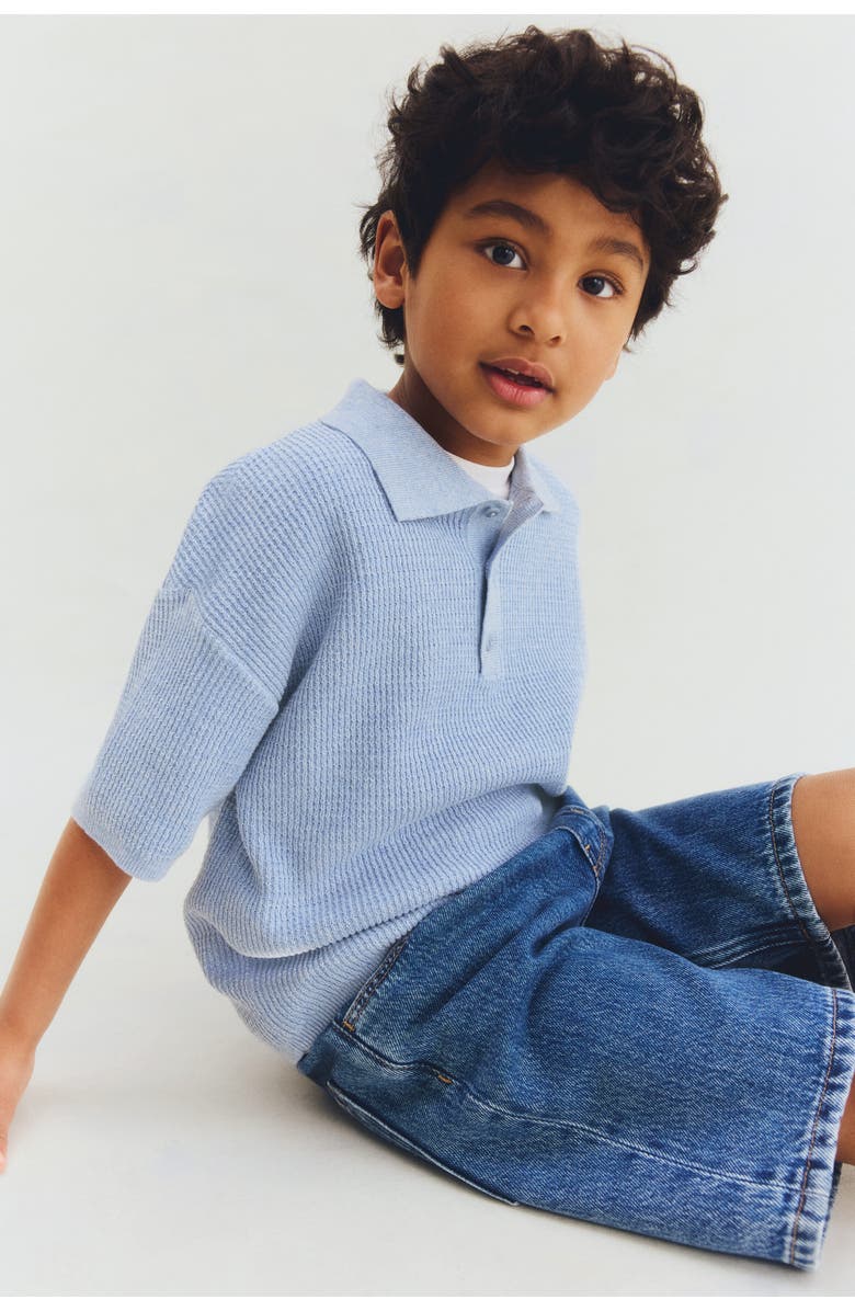 H&M Rib-knit Polo Shirt, Alternate, color, Light Dusty Blue