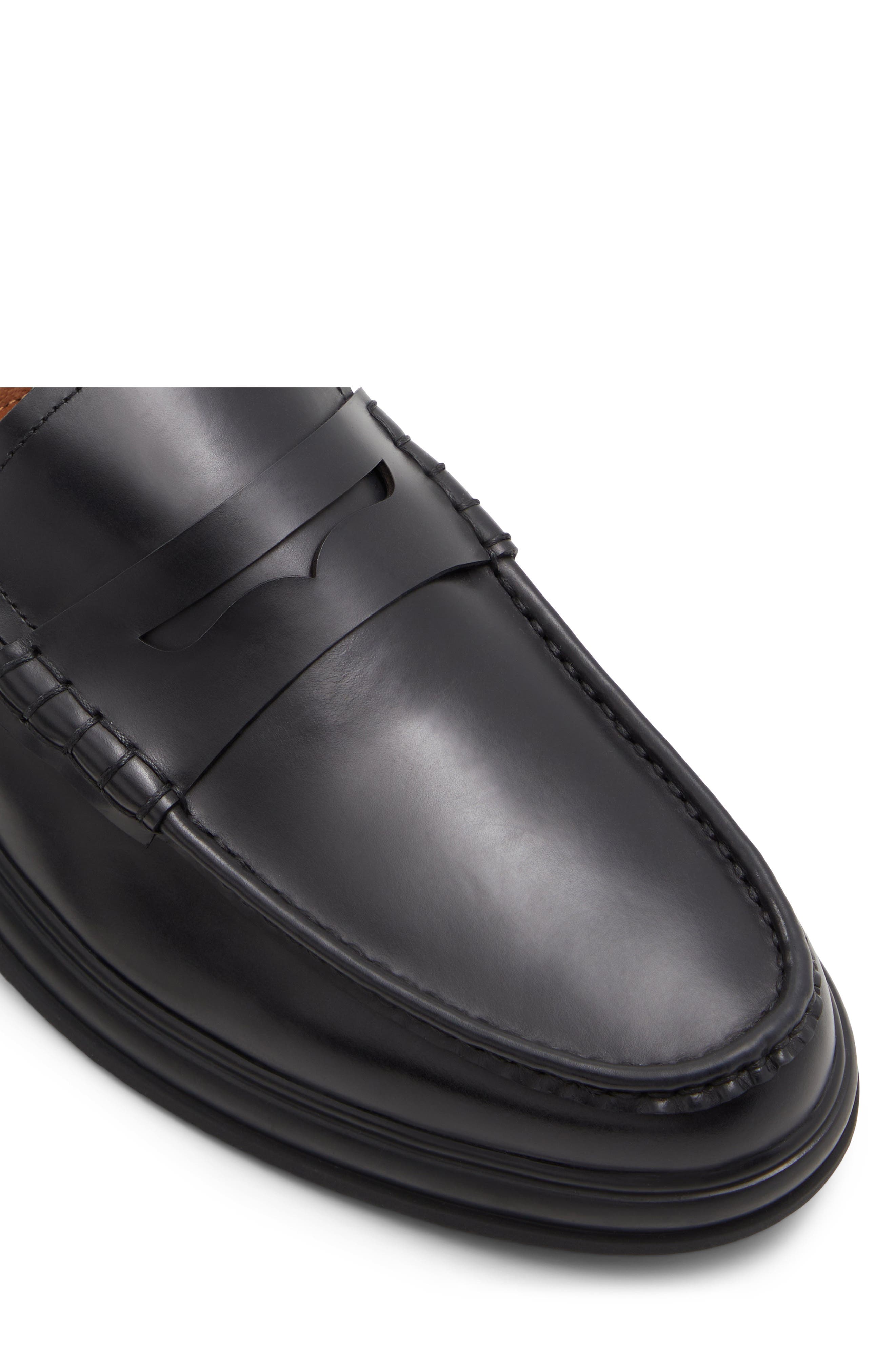 ALDO Tucker Penny Loafer, Alternate, color, 