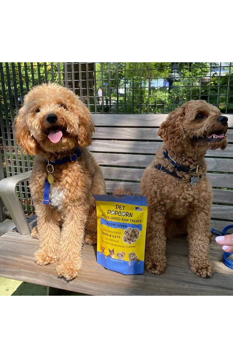 Pet Popcorn Freeze Dried Raw Treats, Bison Liver, 2.5oz Bag, Dog & Cat Snacks, Alternate, color, Multicolored