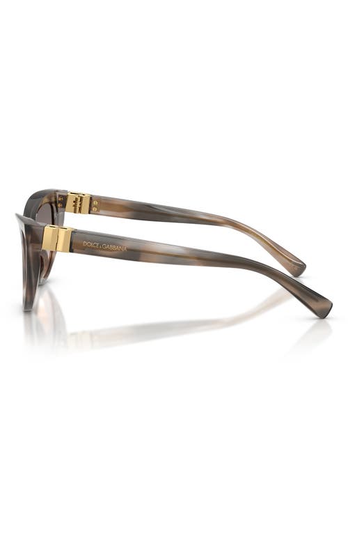 Dolce & Gabbana Cat Eye Sunglasses In Striped Grey