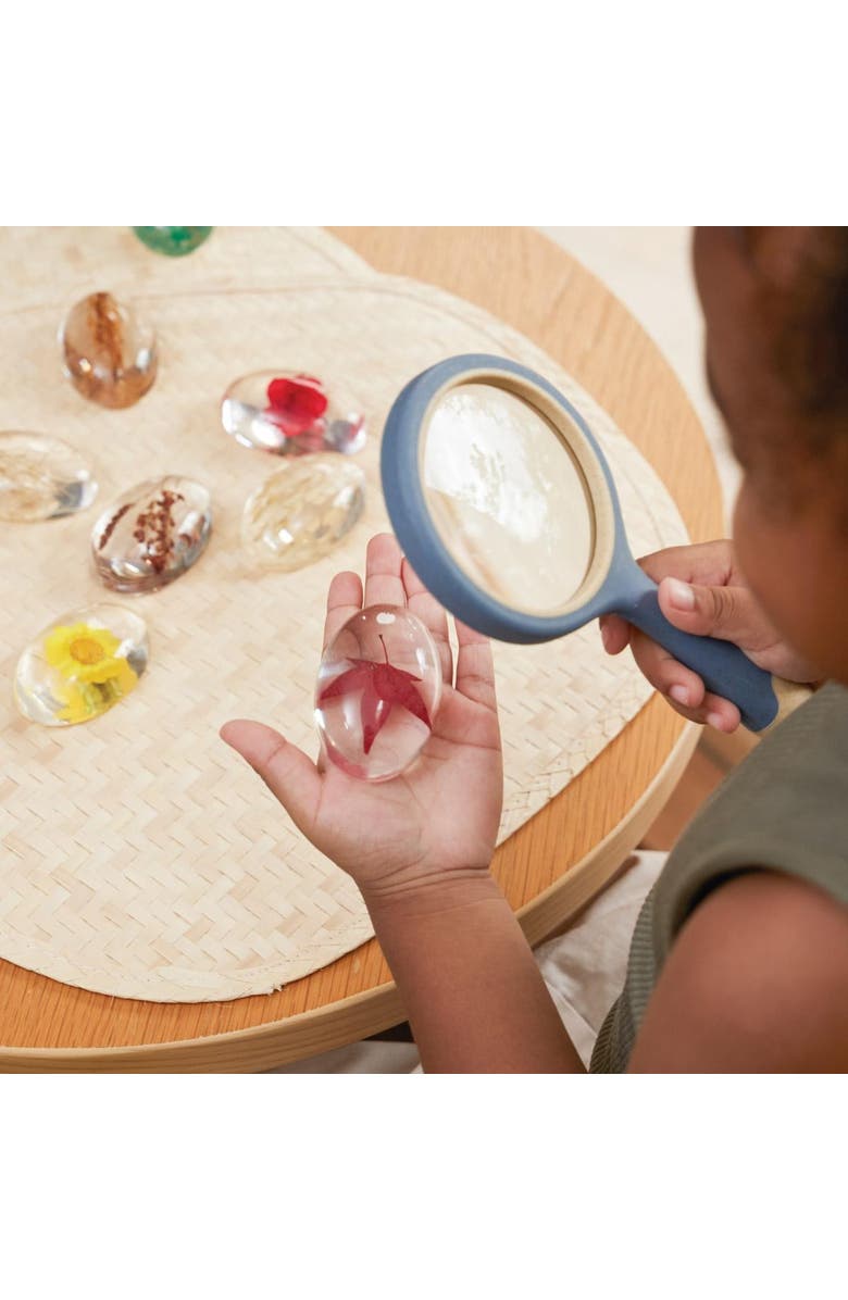 Kaplan Early Learning Company Specimen Stones Plants - 9 Pieces, Alternate, color, Clear