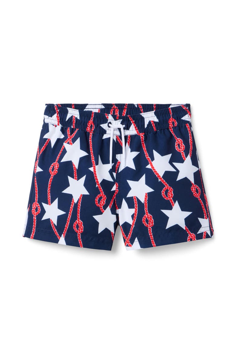 Printed Swim Trunk, Main, color, Blue
