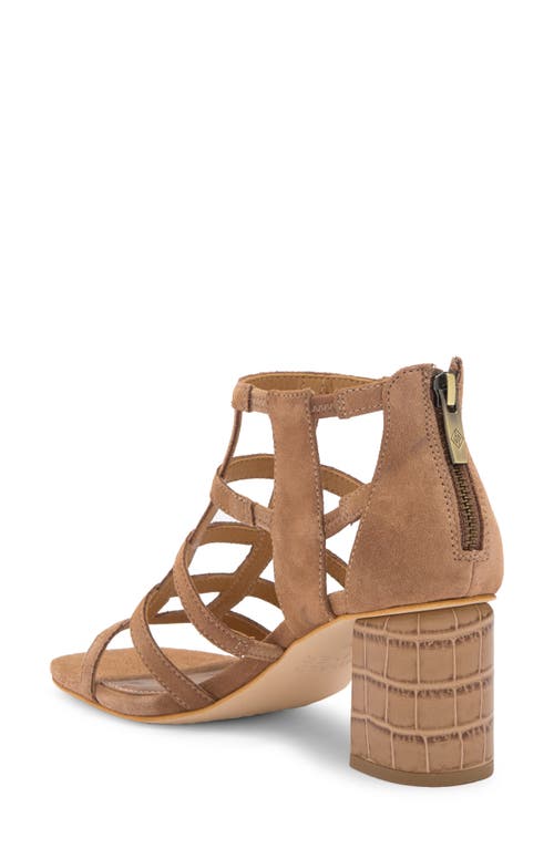 DONALD PLINER DONALD PLINER GLADIATOR SANDAL