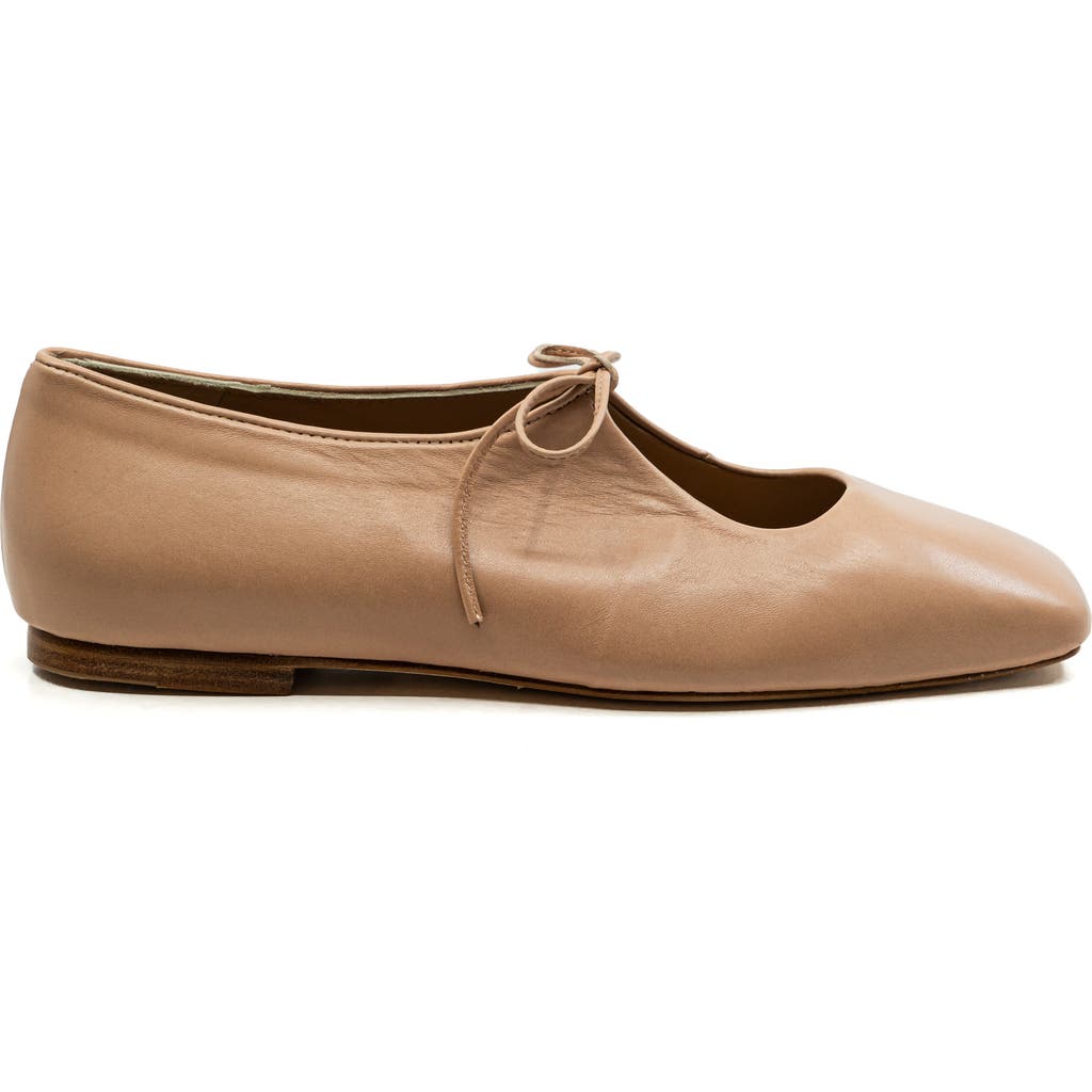 Andrea Gomez Amelia Leather Ballet Flats In Blush