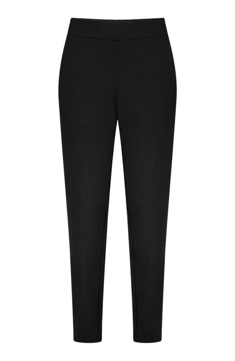 Saint + Sofia Finsbury Pant, Alternate, color, Black