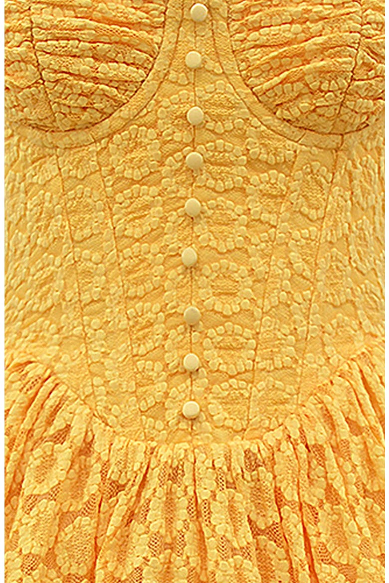 Carolina Stretch Lace Corset Minidress, Alternate, color, APRICOT