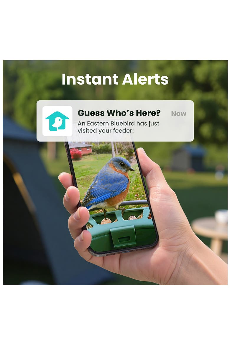 Feeder 2 Lite Smart Solar Bird Feeder, Alternate, color, GREEN