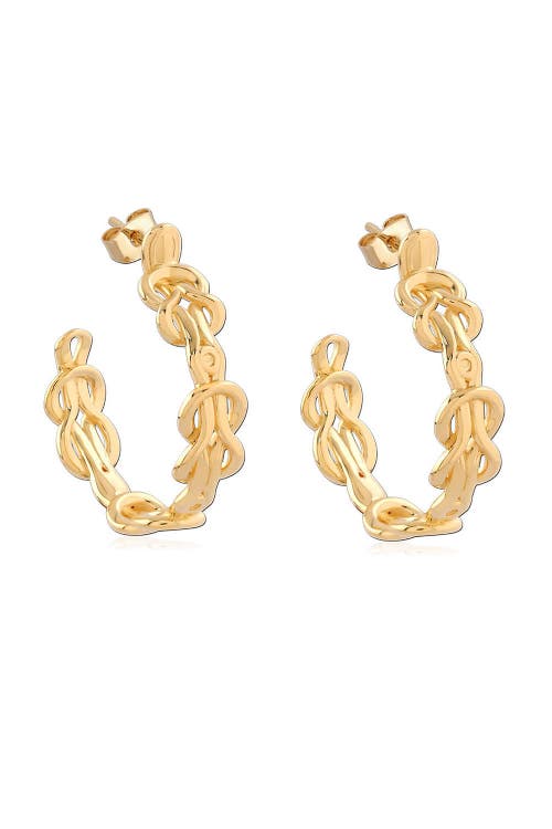 Astor & Orion Hera Hoops in Gold  product