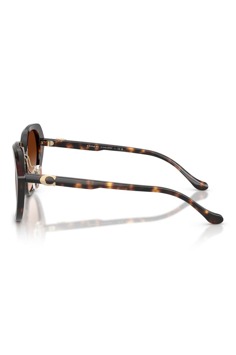 55mm Irregular Round Sunglasses, Alternate, color, DARK TORTOISE / BROWN GRADIENT