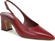 Sam Edelman Winfred Pointed Toe Slingback Sandal