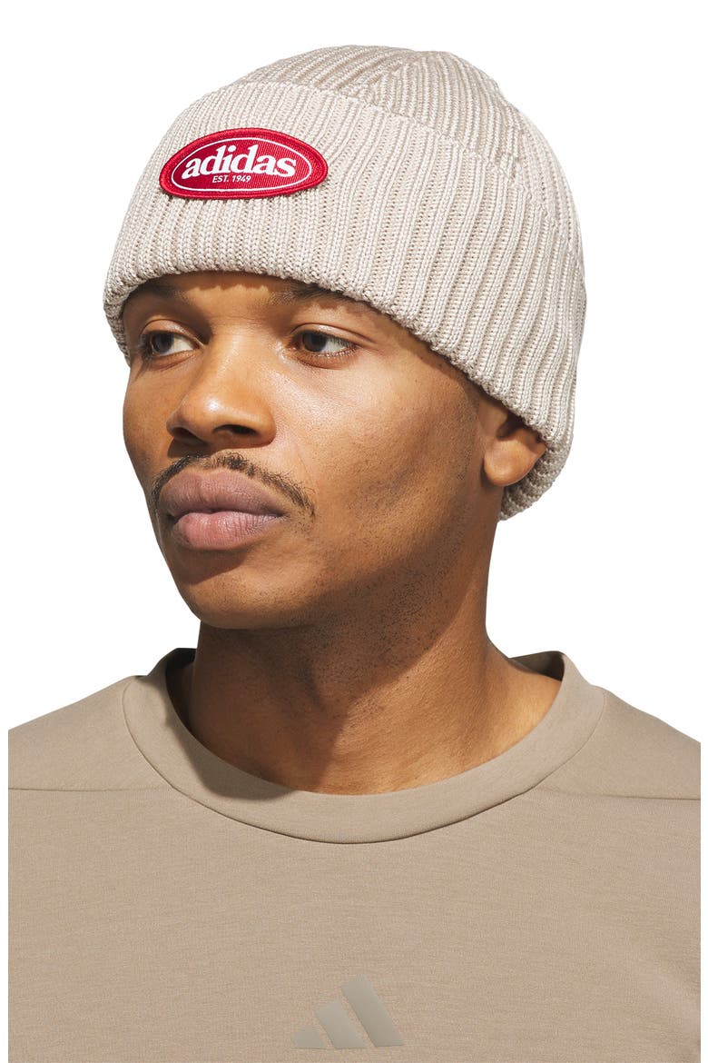 Roam Rib Knit Beanie, Alternate, color, ALUMINA GREY/ RED/ WHITE