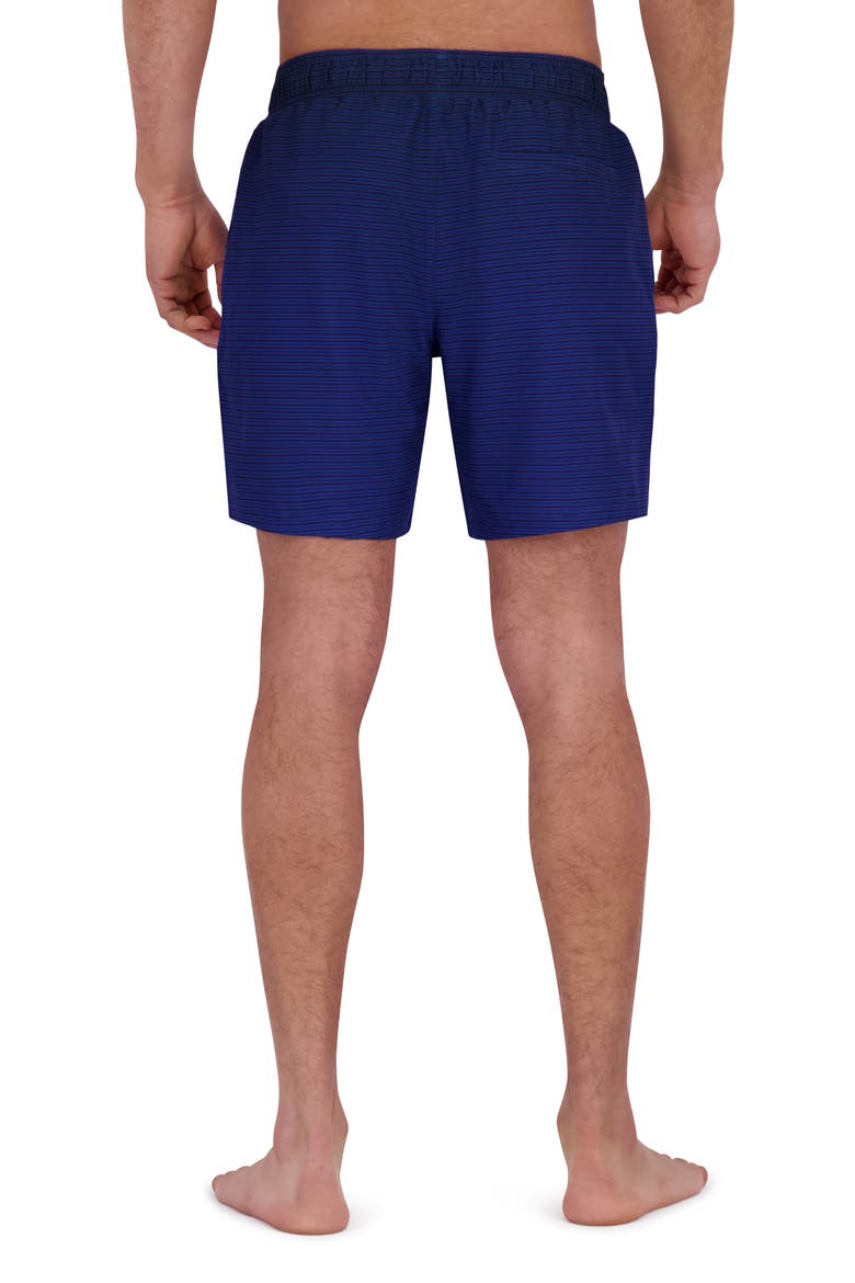 Gradient Stripe Volley Swim Shorts, Alternate, color, DRESS BLUE