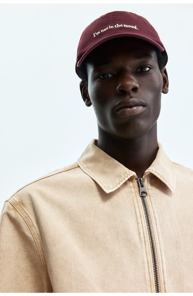 H&M Collared Cotton Jacket, Alternate, color, Beige