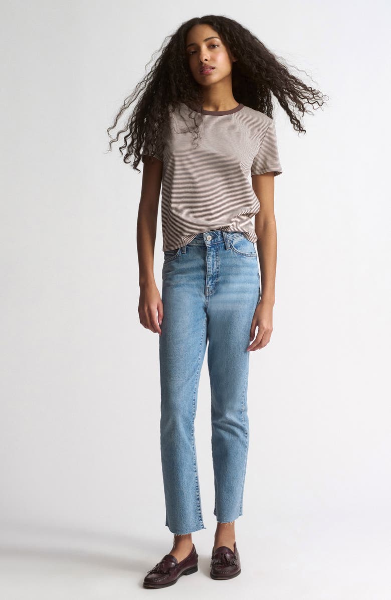 Brooklyn Industries Stripe Cotton T-Shirt, Alternate, color, Chocolate Martini Stripe