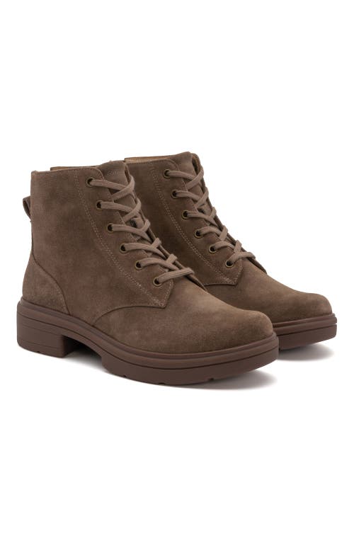 Abeo Vista Lace Boot In Taupe Suede - Regular