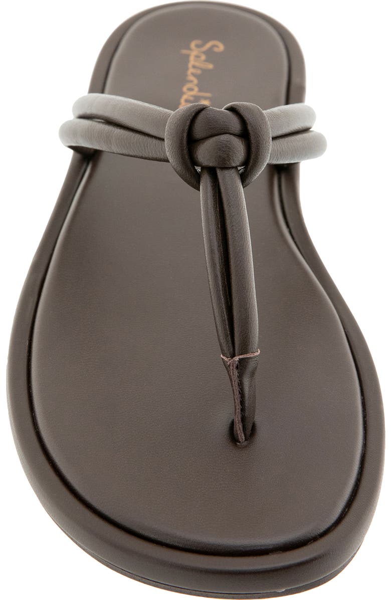 Splendid Fedora Sandal, Alternate, color, Spice