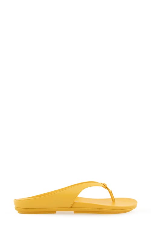 AEROSOLES AEROSOLES FISHER SANDAL 